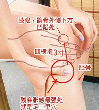 足三里