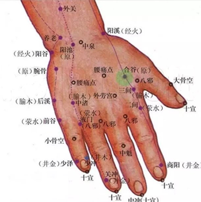 扶阳四穴