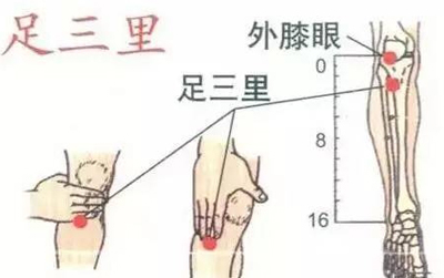 足三里穴