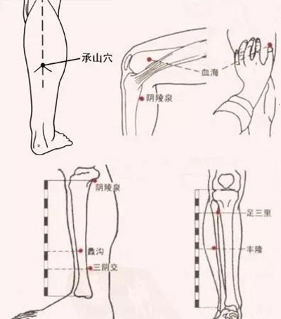 阴陵泉、血海、脾俞、承山、丰隆