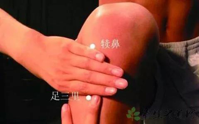 犊鼻