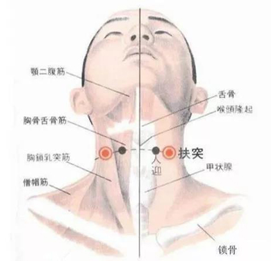 人迎透扶突