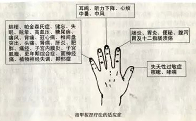 手指