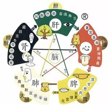 体虚