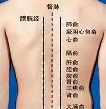 膀胱经