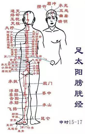 膀胱经
