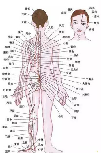 膀胱经