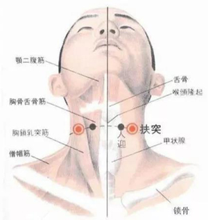人迎透扶突