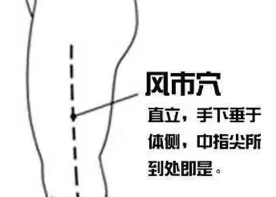 风市穴