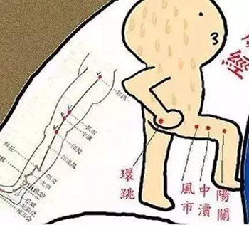 胆经