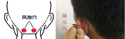 耳沟、风池