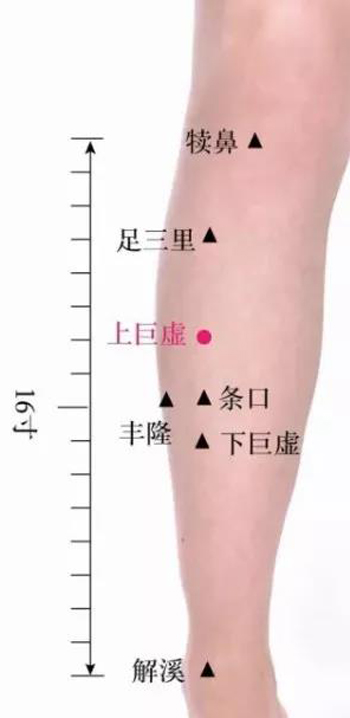 上巨虚穴、下巨虚穴