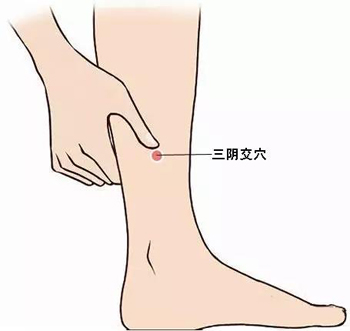 三阴交