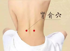 肾俞穴