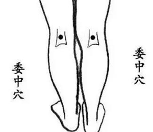委中穴