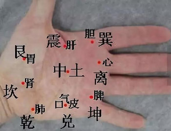 手掌八卦与人体脏腑对应图