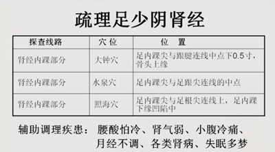 足少阴肾经