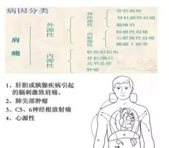 肩痛的病因病机