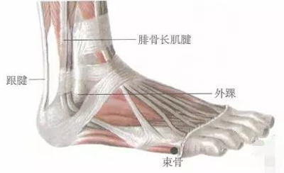 束骨穴