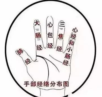 手部经络分布图