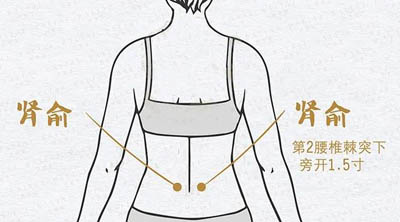 肾俞穴
