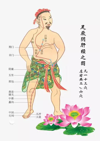 肝经经络循行路线