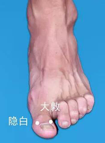 隐白穴