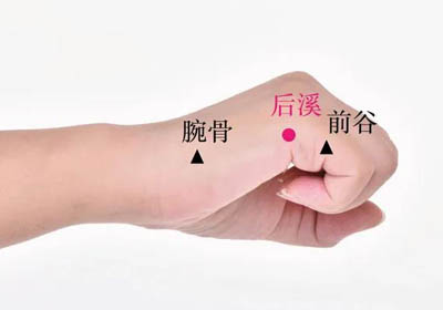 后溪穴