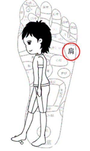 擀动足底部