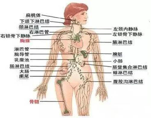 淋巴肿大