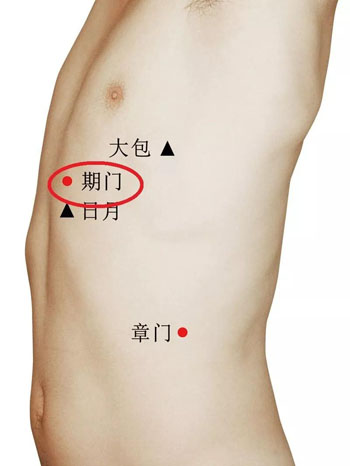 期门穴