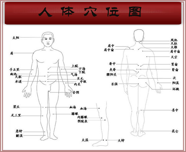 人体穴位图