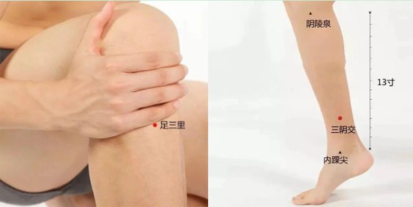 足三里，三阴交穴