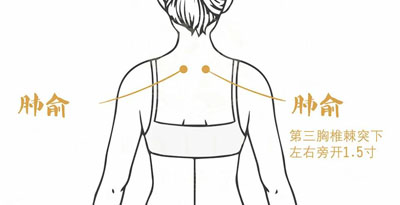 肺俞穴