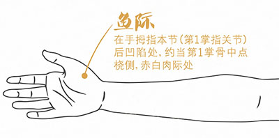 鱼际穴