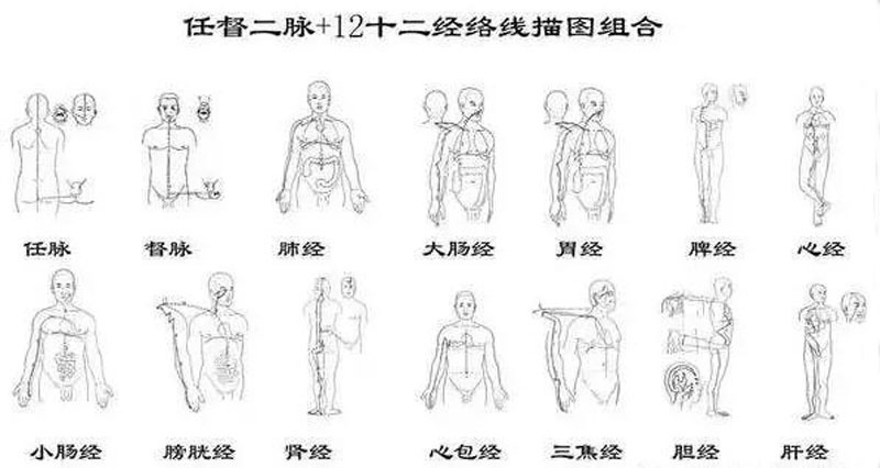 12经络图