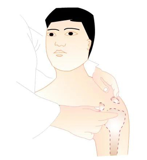 脊柱与四肢特殊检查法