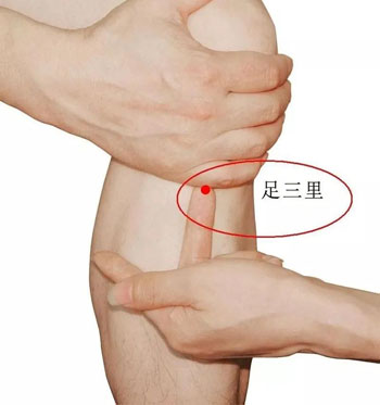 足三里