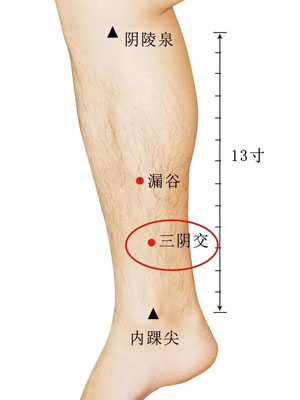 三阴交