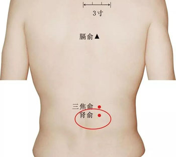 肾俞