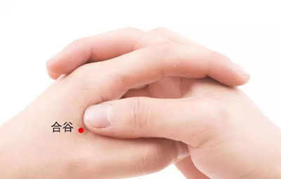 合谷穴