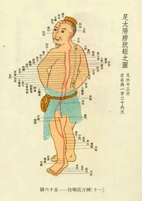 膀胱经