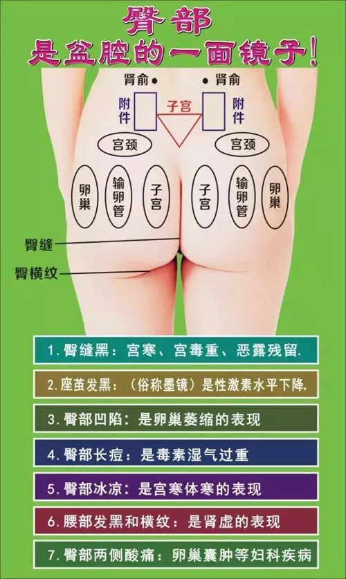 臀部是盆腔的一面镜子。
