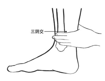 三阴交