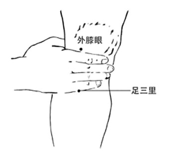 足三里