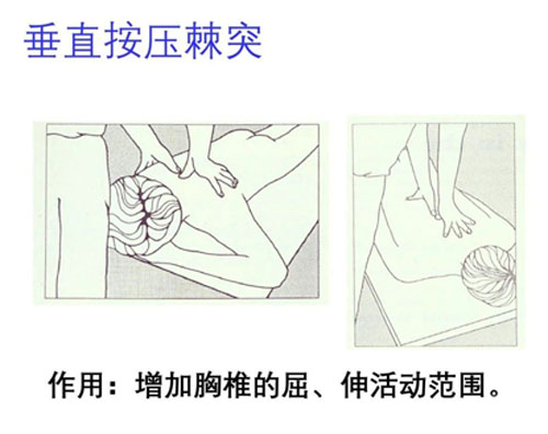 胸椎关节松动术操作要领！