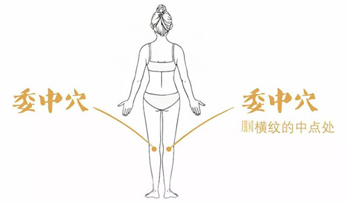 委中穴