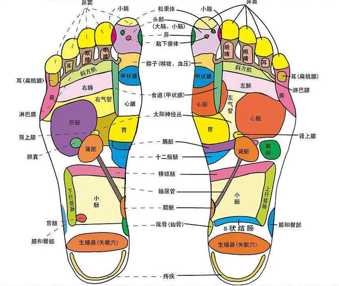 足底按摩方法！
