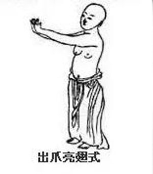 出爪亮翅势。