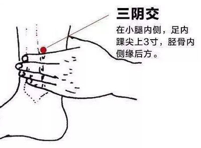 三阴交